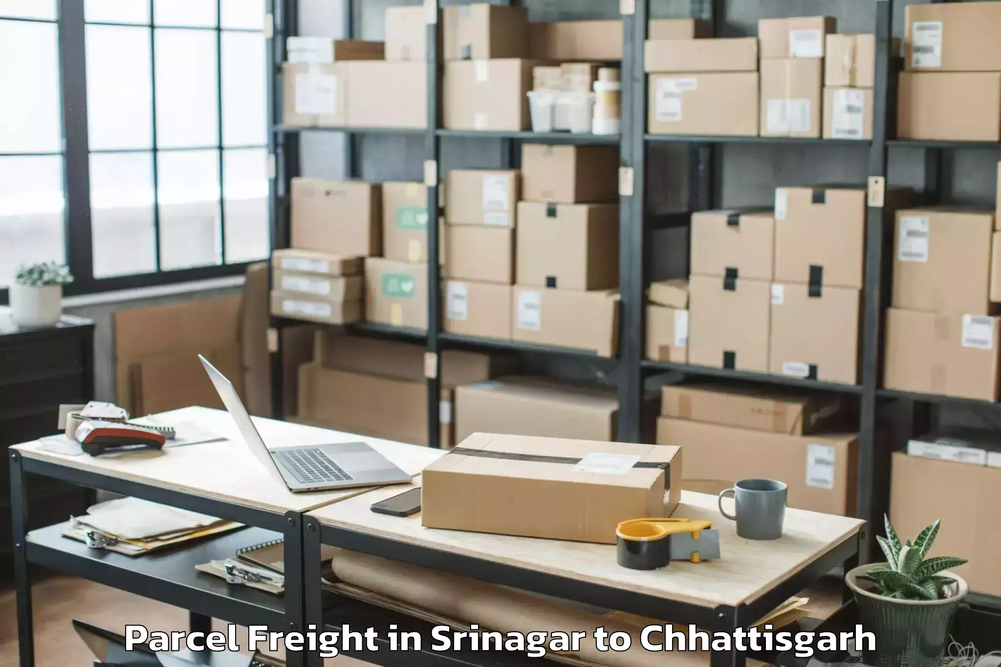 Srinagar to Katghora Parcel Freight Booking